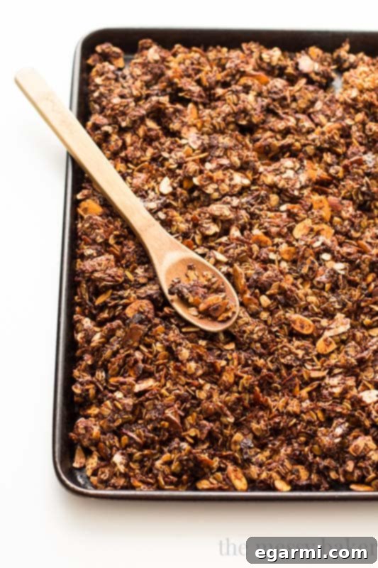 Delicious Nutella Almond Granola for a satisfying snack
