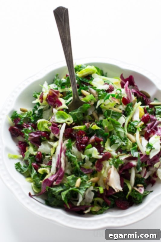 Overhead shot of a bowl of warm sweet kale salad, showcasing the vibrant green kale, red cranberries, and golden pumpkin seeds.