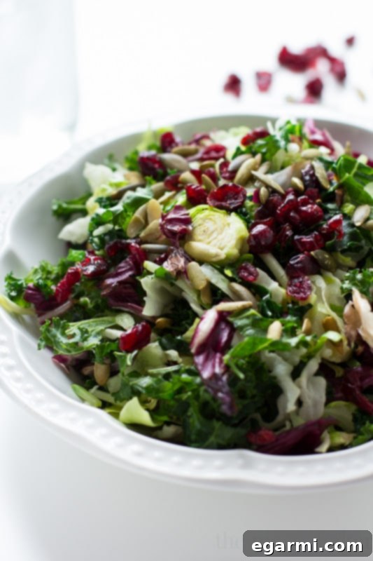 A hand holding a bag of Eat Smart Sweet Kale Salad Kit, highlighting the convenience and freshness of the ingredients.
