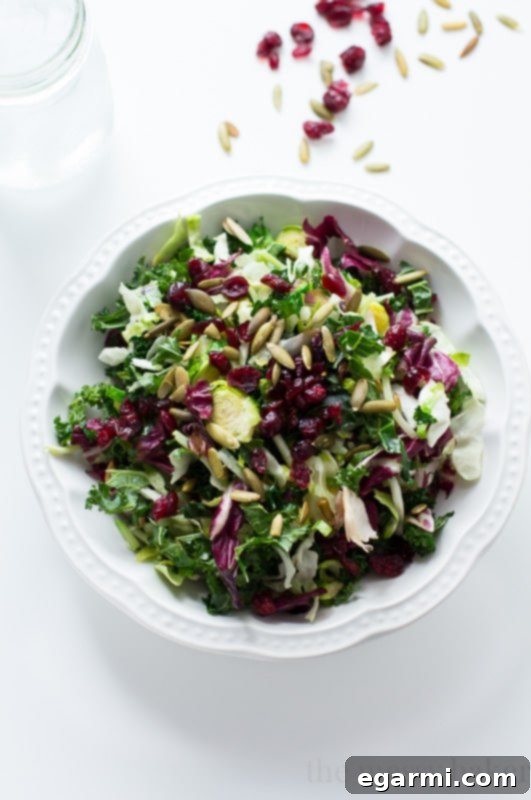 A close-up of the individual packets of dried cranberries, toasted pumpkin seeds, and poppyseed dressing included in the Eat Smart kit.