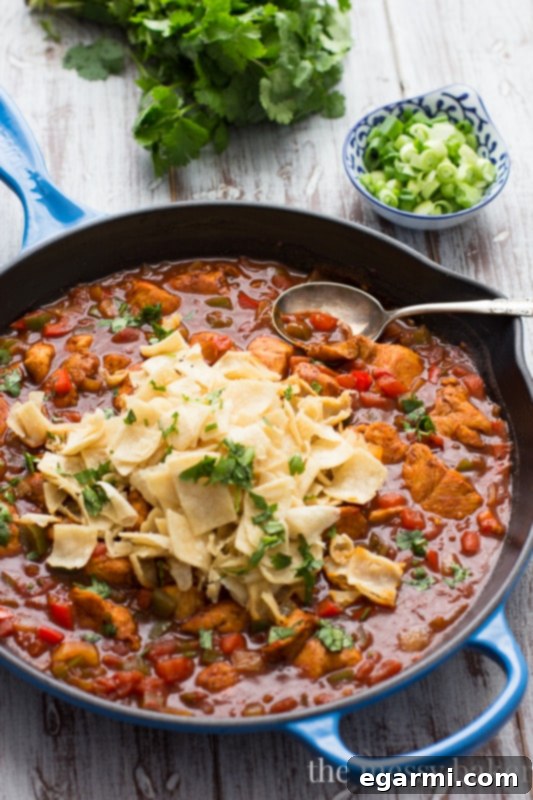 A beautifully plated Chicken Enchilada Skillet portion, topped with sour cream, cilantro, and green onions, ready to be enjoyed.