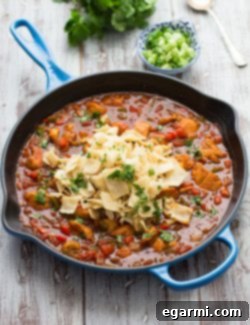 Finished Chicken Enchilada Skillet, a one-pan meal, ready to serve.