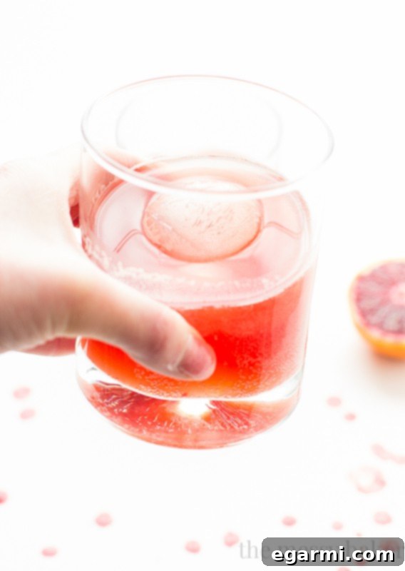 Blood Orange Bourbon Fizz Cocktail, garnished and ready to be enjoyed
