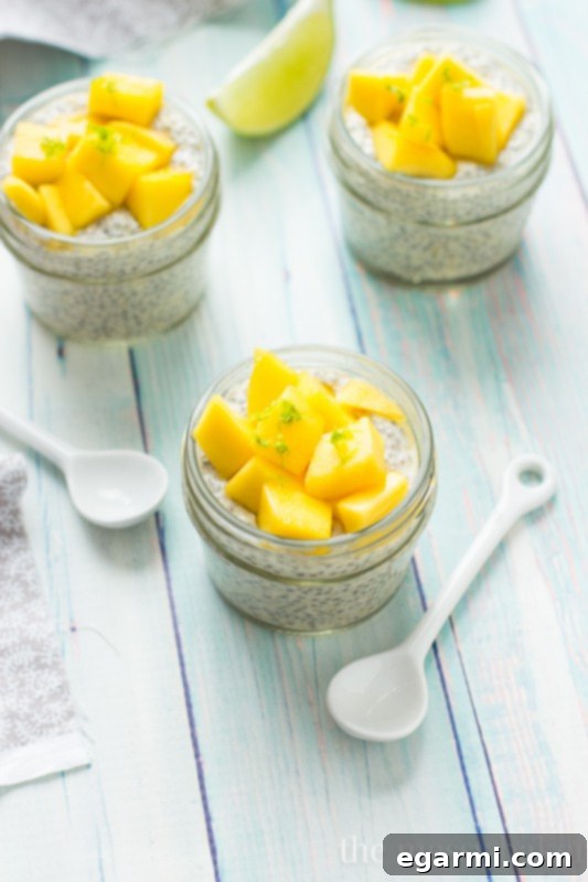 Creamy Mango Chia Seed Pudding with Fresh Mango Topping