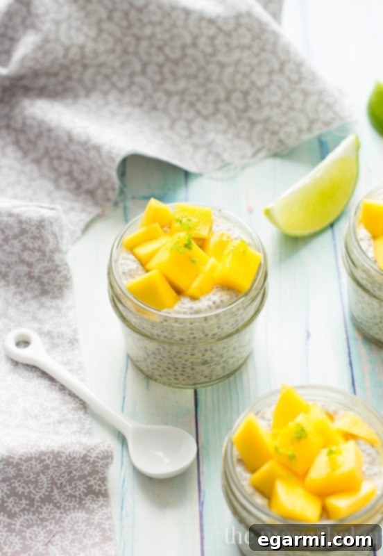 Delicious Mango Chia Seed Pudding with Fresh Fruit and Mint Garnish