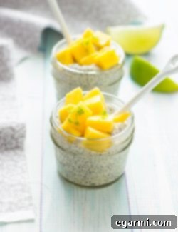 Mango Chia Seed Pudding Recipe Card Image