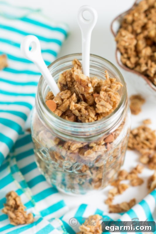 Cookie Butter Cinnamon Chip Granola