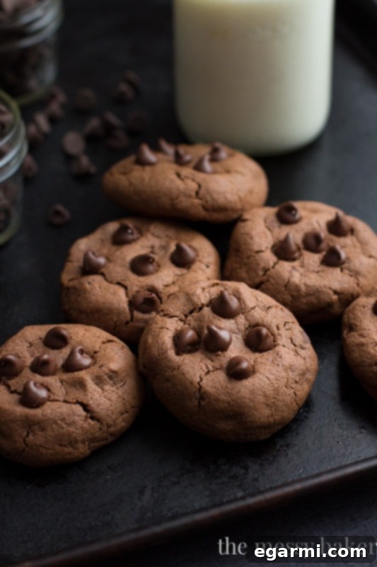 Irresistible Double Chocolate Chip Cookies for Two