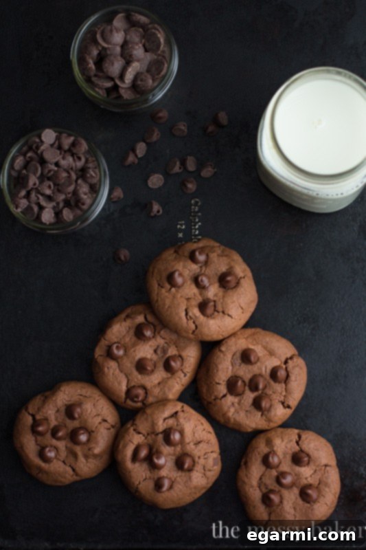 Double Chocolate Chip Cookies - A Sweet Treat