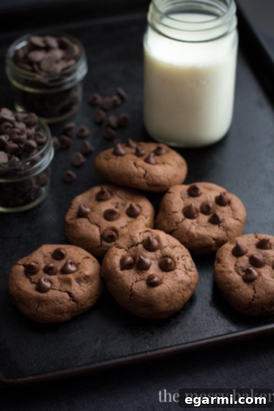 Decadent Double Chocolate Chip Cookies