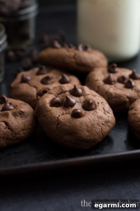 Warm Double Chocolate Chip Cookies