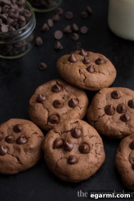Perfectly Baked Double Chocolate Chip Cookies