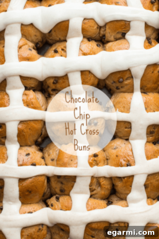 Choc-Chip Hot Cross Buns 2 Delicious Chocolate Chip Hot Cross Buns fresh out of the oven