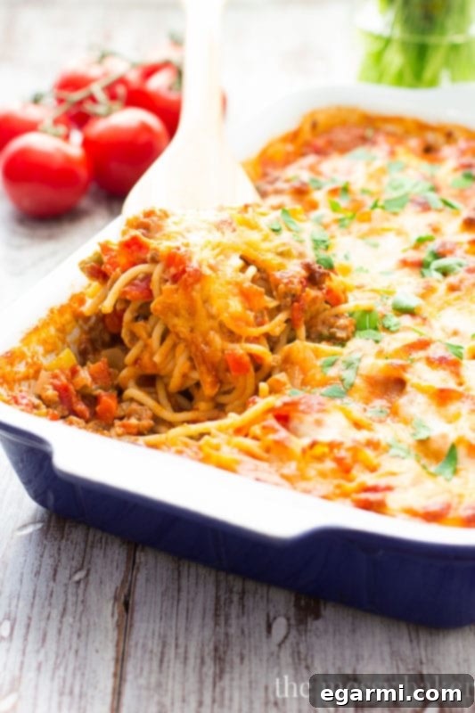 Hearty Southwestern Spaghetti Pie Casserole