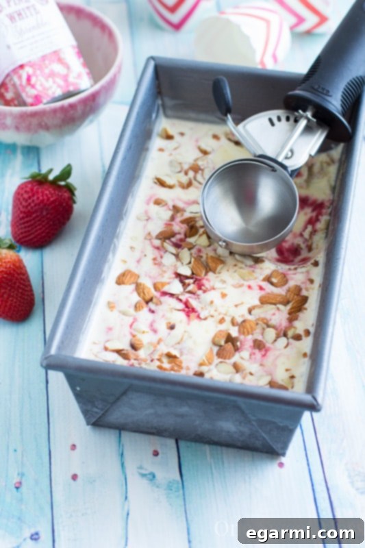Strawberry Jam & Toasted Almond Swirled Ice Cream