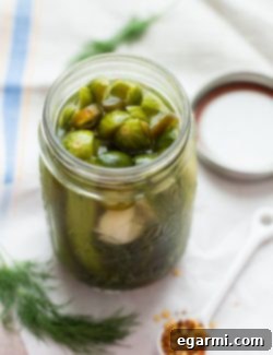 img 8335 10