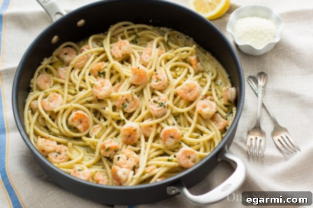 Creamy Lemon Butter Shrimp Linguine 5 Gourmet Garden Lightly Dried Basil and Chili Pepper flakes