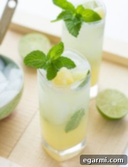 Pineapple Coconut Mojito final presentation with garnishes