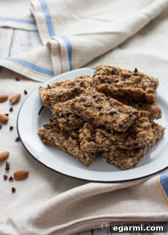 Delicious Chocolate Chip Cookie Energy Bars