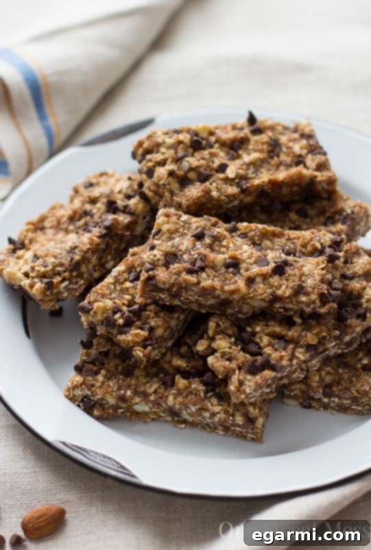 Healthy & Wholesome Chocolate Chip Energy Bars