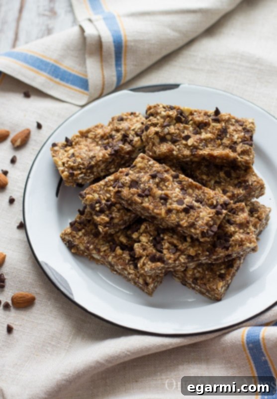 Variety of Healthy Energy Bars