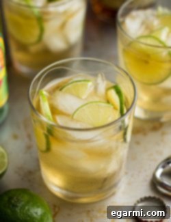 Finished Dark & Stormy Cocktail ready to serve