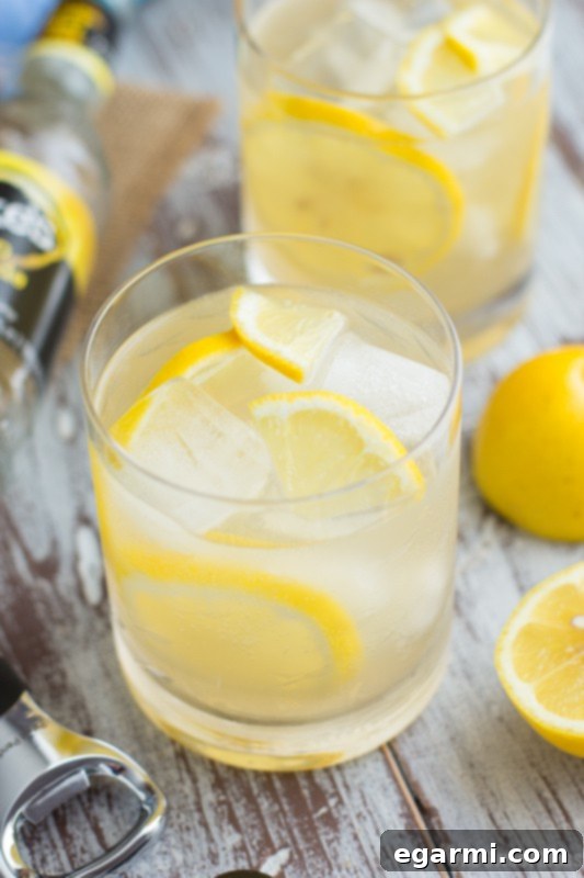 Vanilla Bourbon Lemonade cocktail close-up