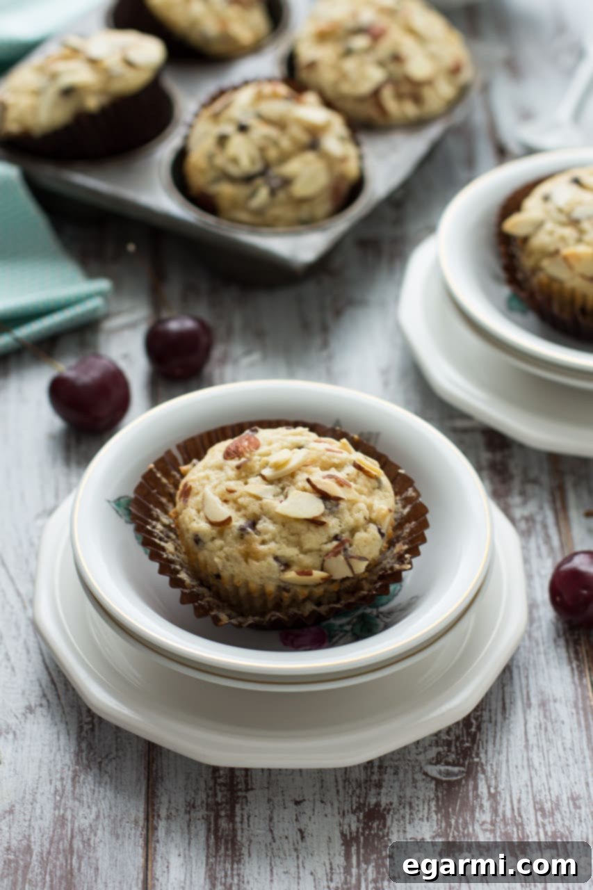 Decadent Cherry Chocolate Chip Muffins 2 Freshly baked Cherry Chocolate Chip Muffins with a golden-brown top and almond crunch.
