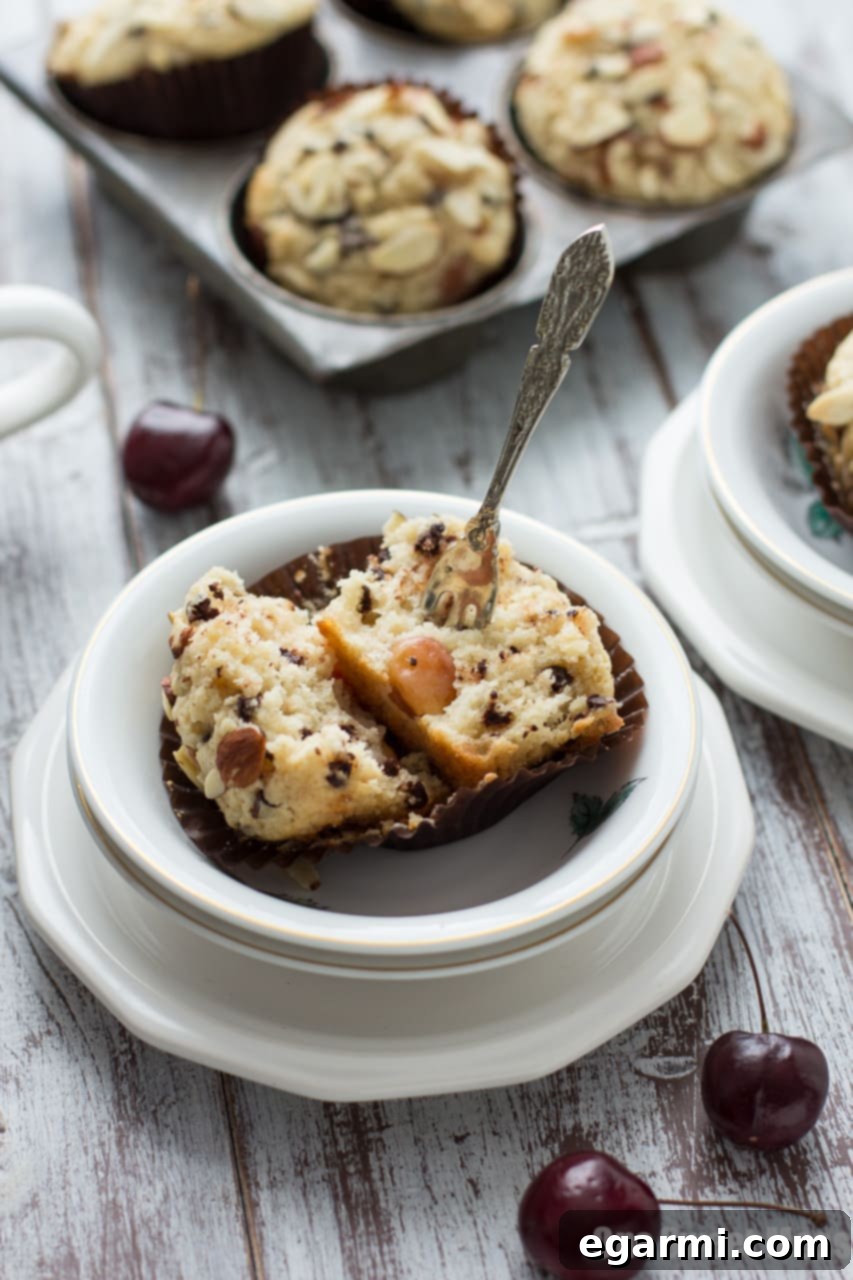 Decadent Cherry Chocolate Chip Muffins 3 Close-up of a Cherry Chocolate Chip Muffin, showing the tender crumb and visible cherries and chocolate chips.
