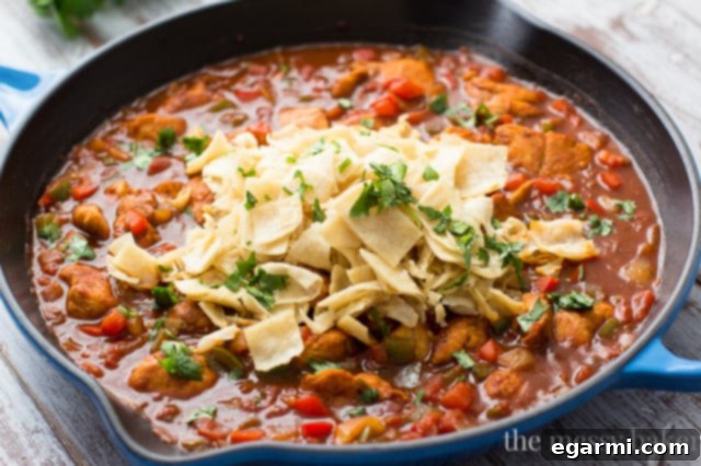 Chicken Enchilada Skillet, a quick and easy one-pot meal