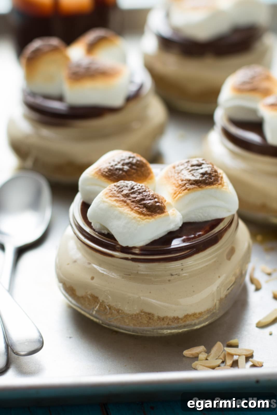 Delicious No-Bake S'mores Cheesecake layers