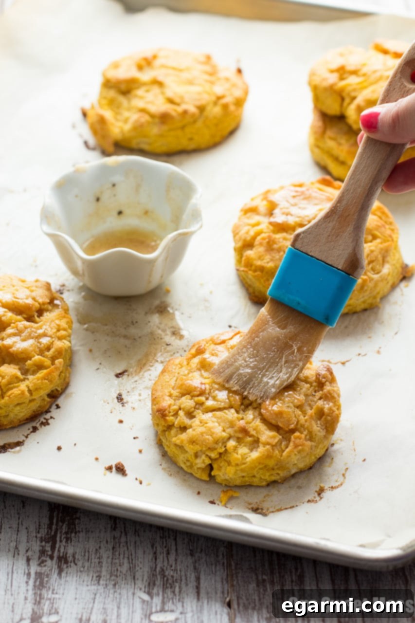 A plate featuring a single pumpkin biscuit, showcasing its tender texture and glazed topping