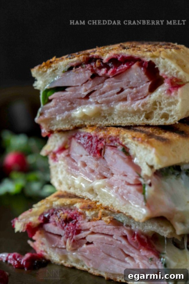 October 5th 2015 Weekly Meal Planner 7 Ham Cheddar Cranberry Melt sandwich for a quick Friday meal