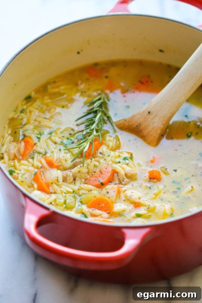 October 12 2015 Weekly Meal Plan 3 Lemon Chicken Orzo Soup