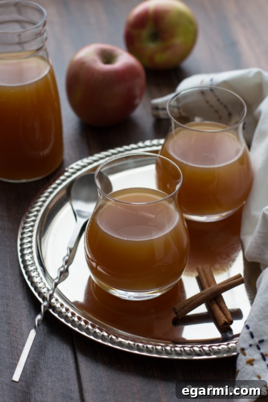 Thirsty Thursday Caramel Apple Pie Martini Pitcher 2 Delicious Caramel Apple Pie Martini served in a martini glass, garnished with an apple slice