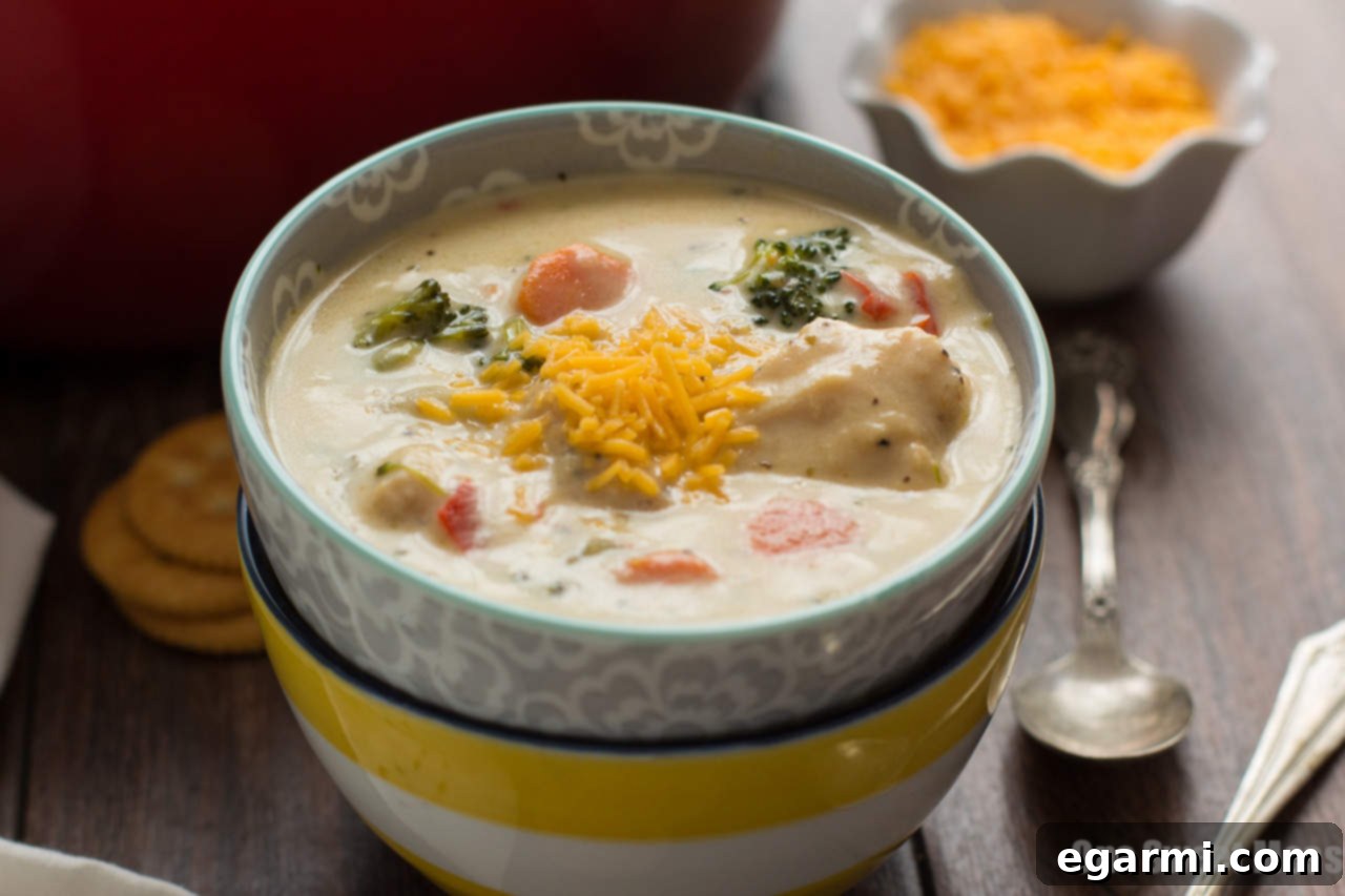 Cheesy Chicken & Veggie Chowder - Close up of creamy texture