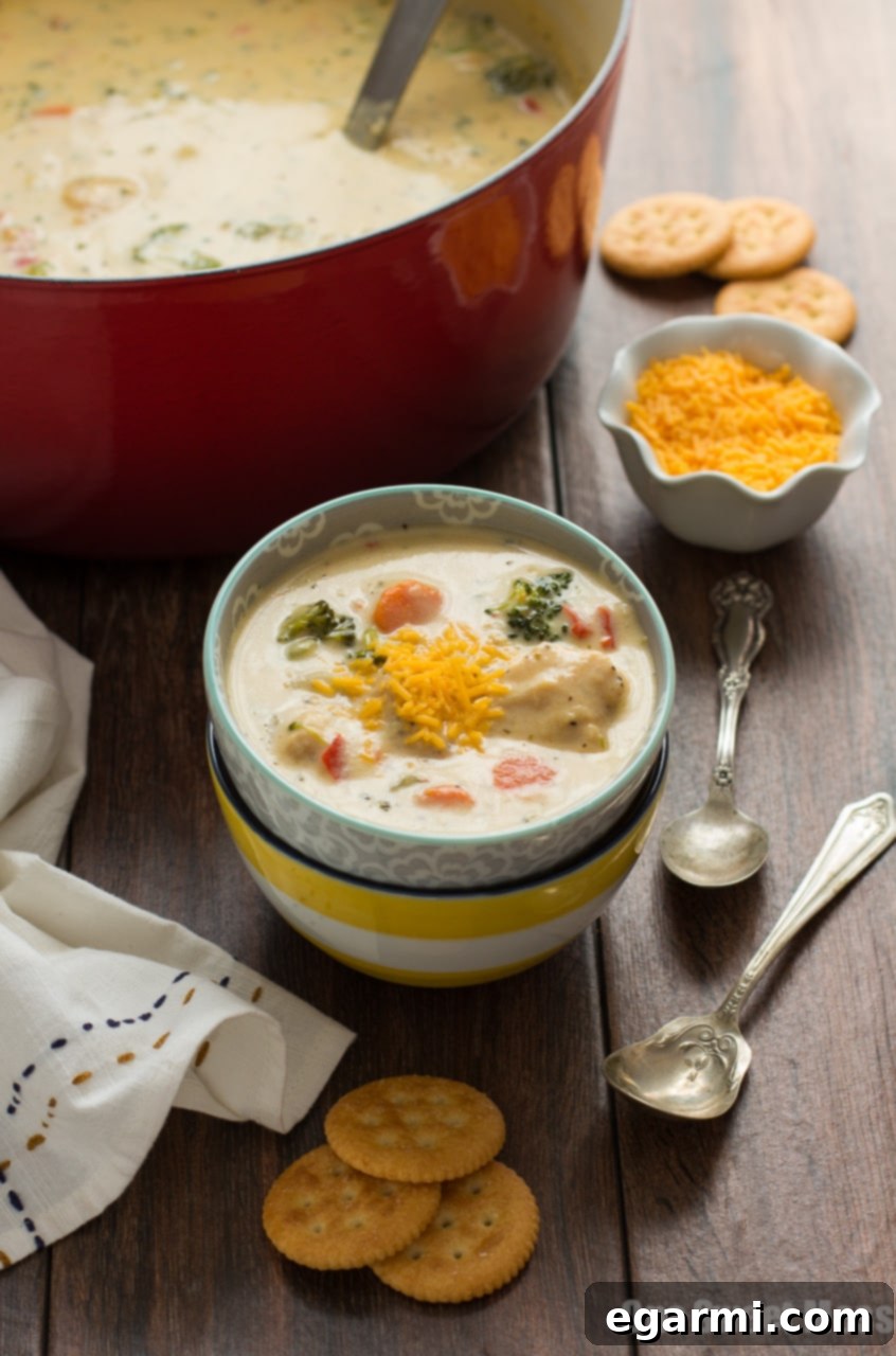 Cheesy Chicken & Veggie Chowder - Garnished bowl close up
