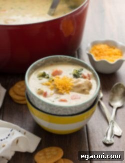 Final bowl of Cheesy Chicken & Veggie Chowder ready to eat