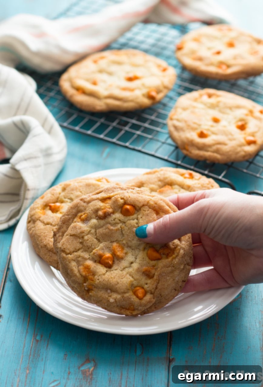 Pumpkin Spice Snickerdoodles: These soft, gooey cookies are loaded with pumpkin spice baking chips and rolled in a pumpkin spice sugar mixture.