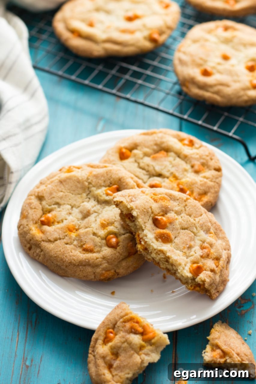Pumpkin Spice Snickerdoodles: These soft, gooey cookies are loaded with pumpkin spice baking chips and rolled in a pumpkin spice sugar mixture.