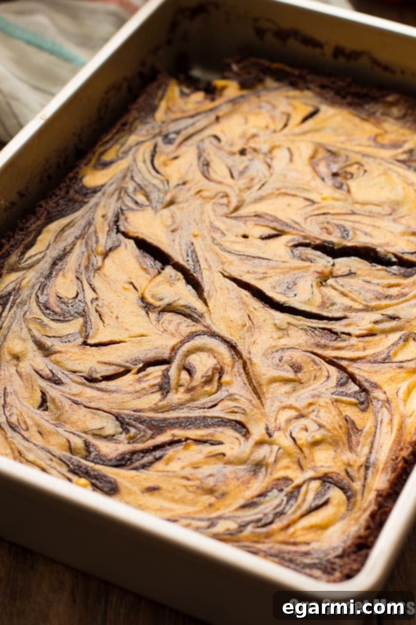 Plate of Pumpkin Cheesecake Swirl Brownies, ready to be enjoyed