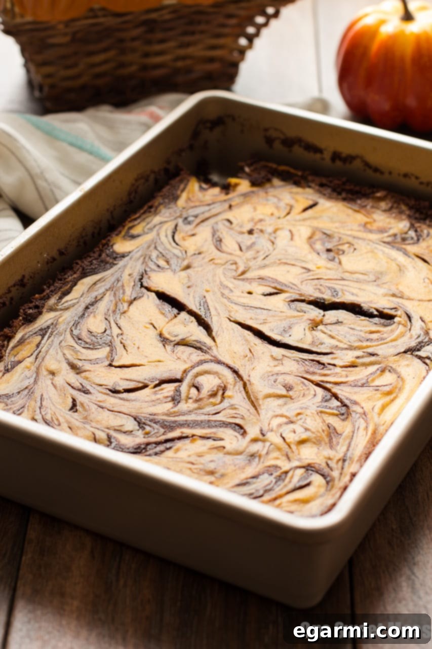 The swirling process for Pumpkin Cheesecake Swirl Brownies