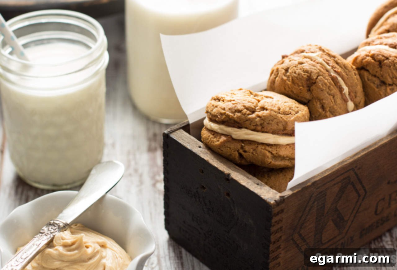 Pumpkin Cookie Butter Ginger Sandwich Cookies arranged on a cooling rack