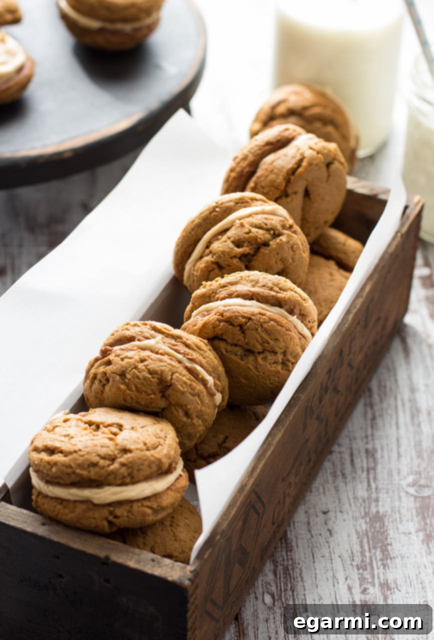 A single Pumpkin Cookie Butter Ginger Sandwich Cookie on a plate