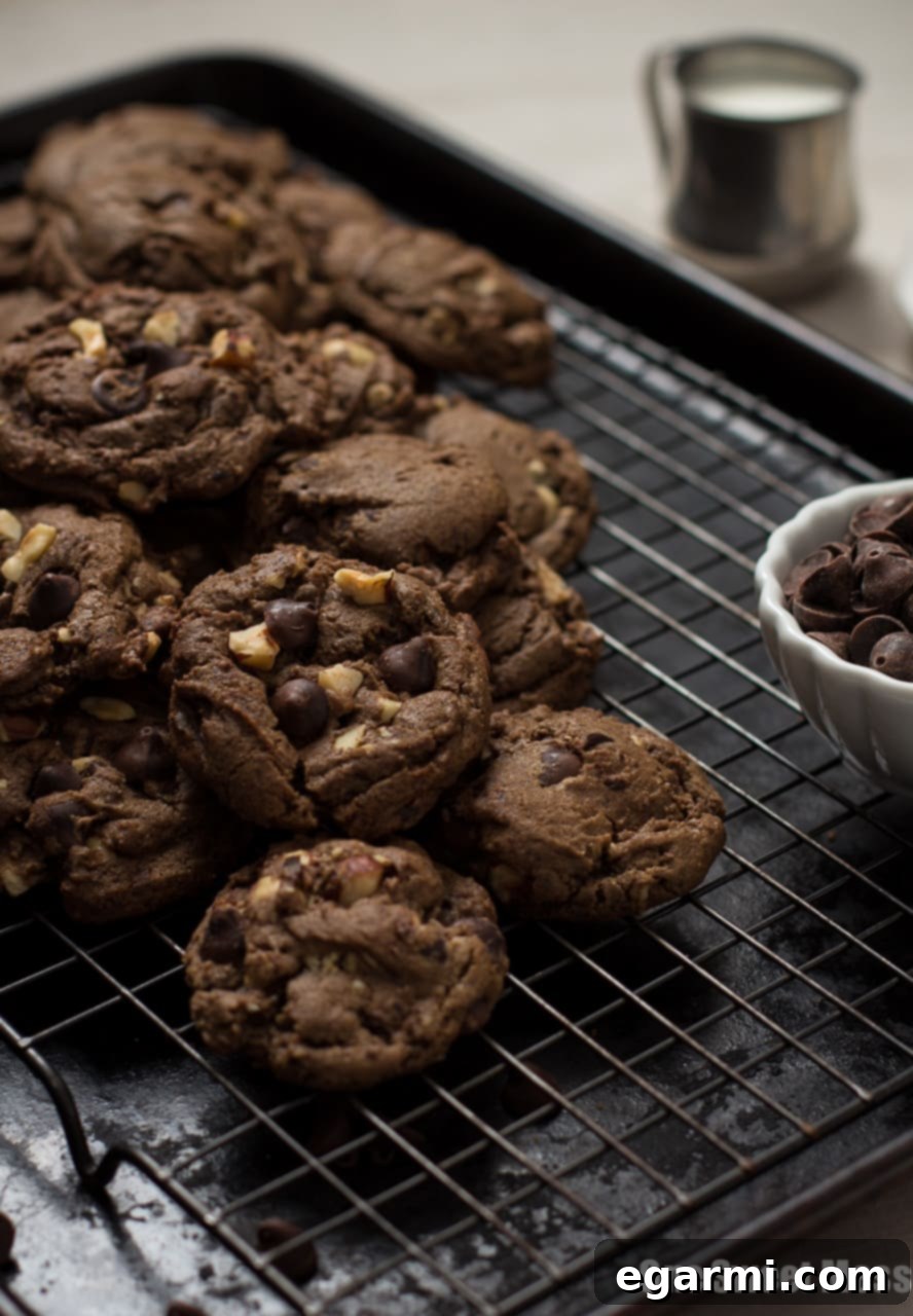 Chocolate Espresso Toasted Hazelnut Cookies