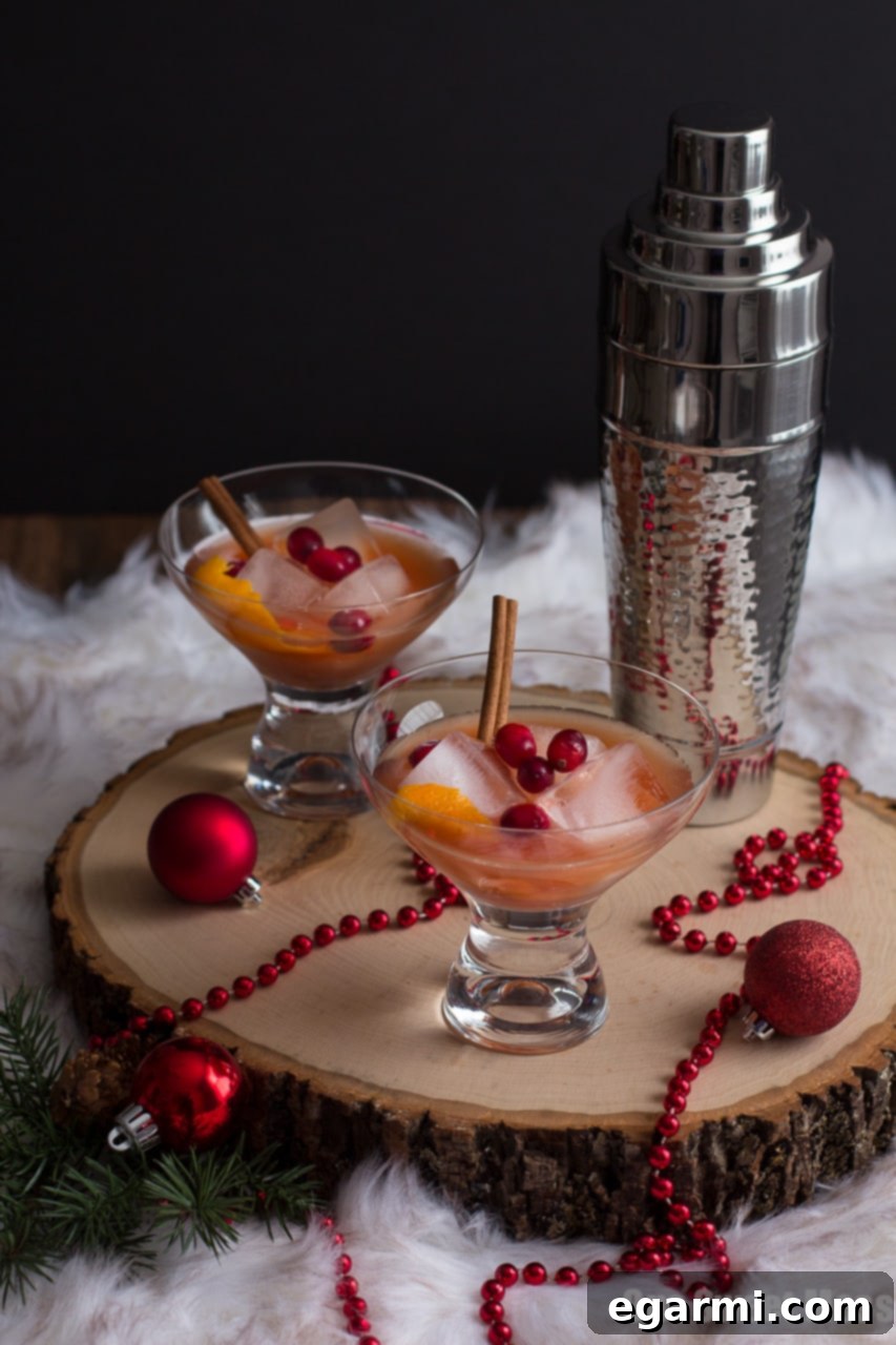 Spiced Cranberry Rum Old-Fashioned: Spiced rum, tart cranberry juice, and warm cinnamon and cloves get shaken to create a festive holiday cocktail perfect for celebrating New Year's Eve.
